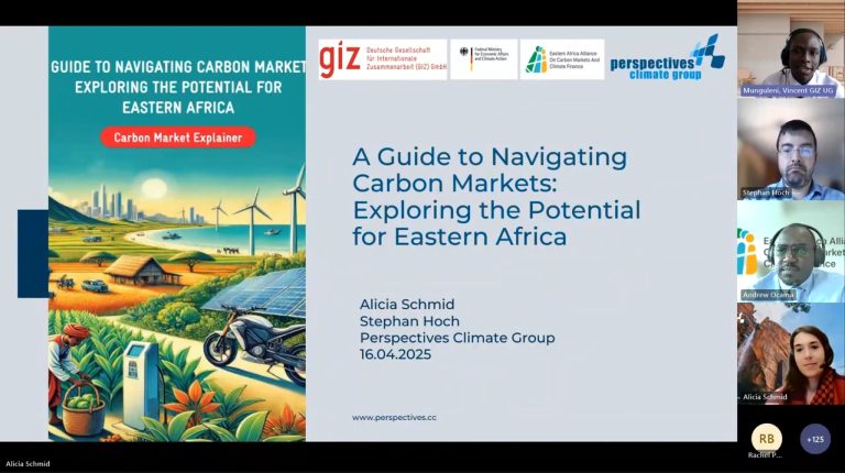 Unlocking Carbon Market Potential for Eastern Africa
