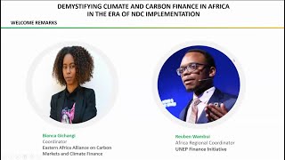 Demystifying Climate and Carbon Finance in Africa in the era of NDC implementation