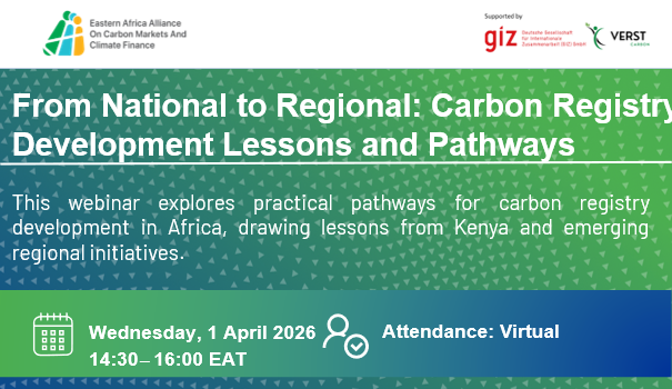 From National to Regional: Carbon Registry Development Lessons and Pathways
