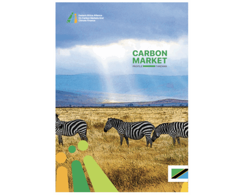 Carbon Market Profile_Tanzania