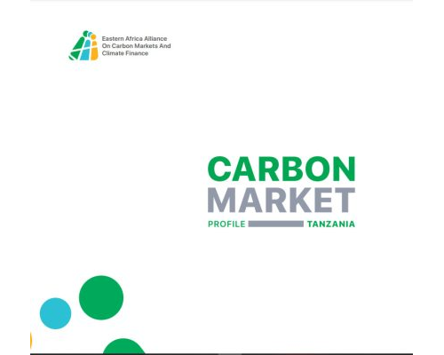 Carbon Markets – Tanzania