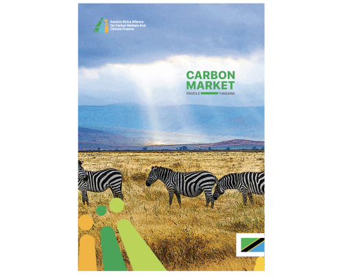 Carbon Market Profile_Tanzania